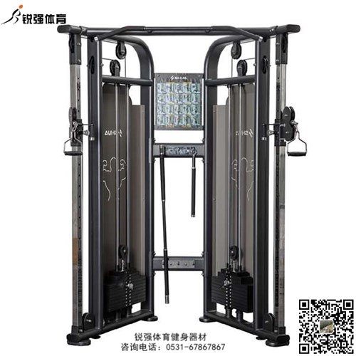 大飛鳥綜合訓(xùn)練器 大飛鳥綜合訓(xùn)練器